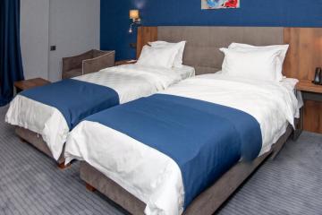 Отель Avenue Hotel Грузия, Тбилиси, фото 2