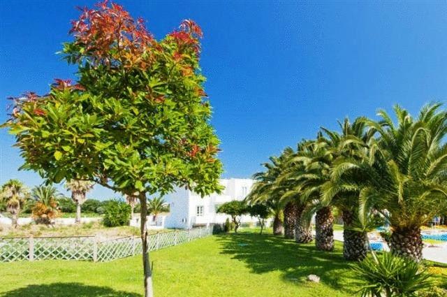 Alexandra Beach Hotel