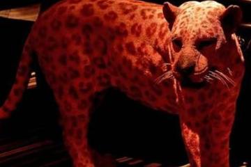 Отель Night Hotel Bangkok - Sukhumvit 15 Таиланд, Бангкок, фото 13