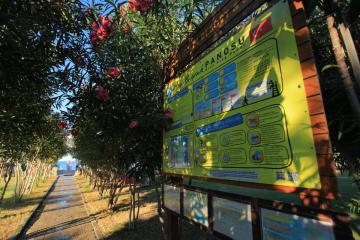 Отель Drita Hotel Resort & Spa Турция, Каргыджак, фото 18