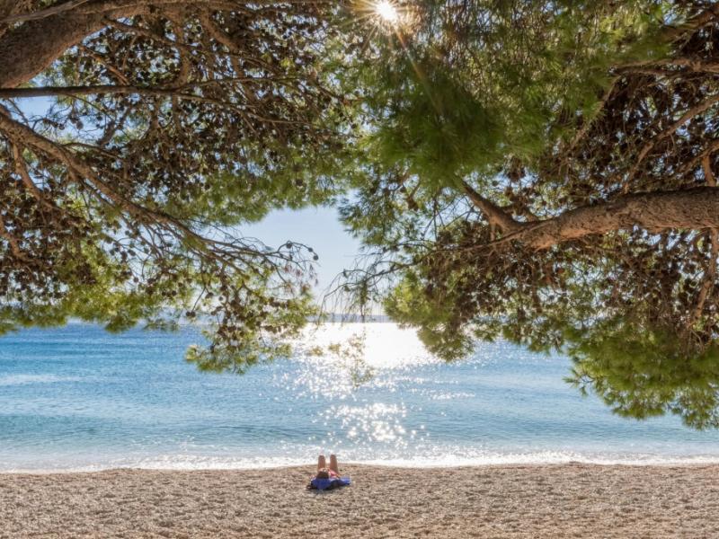 Bluesun Neptun & Depadans Maslinik (Anex)