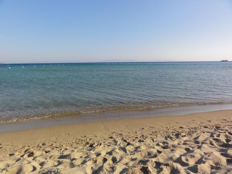 Altinersan Hotel Altinkum Didim