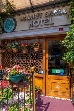 Отель Walnut Shell Hotel Турция, Фатих, фото 1