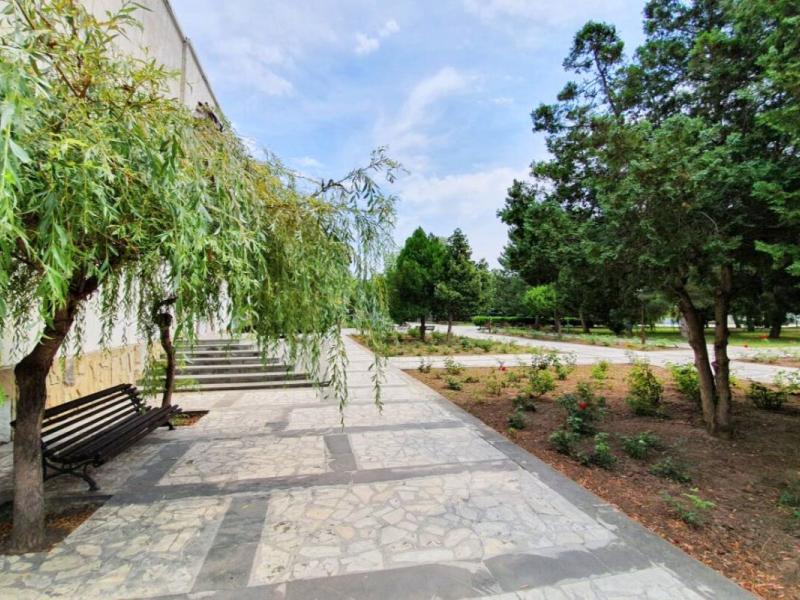 Дивный Мир Барханы