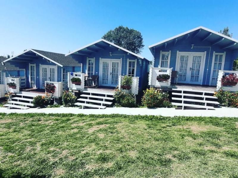 Мандарин База отдыха