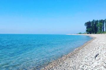 Отель Мандарин База отдыха Абхазия, Новый Афон, фото 2