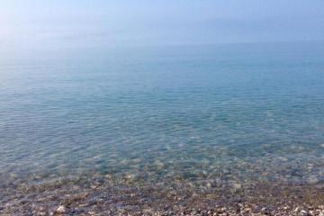 Отель Мандарин База отдыха Абхазия, Новый Афон, фото 4