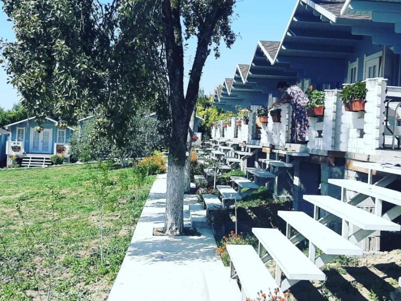 Мандарин База отдыха