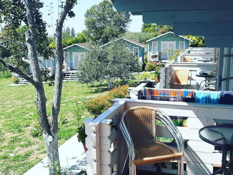 Мандарин База отдыха