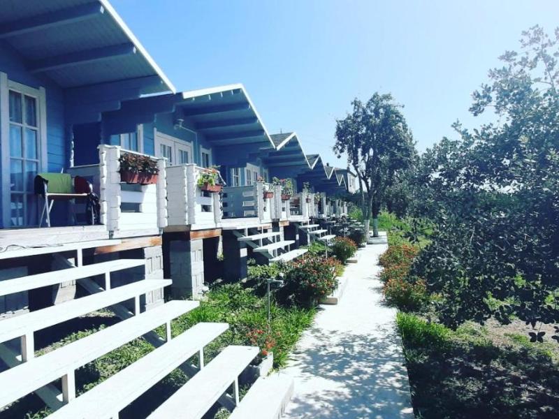 Мандарин База отдыха