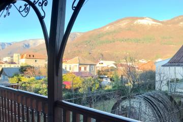 Отель Абхазская усадьба Абхазия, Гагра, фото 25