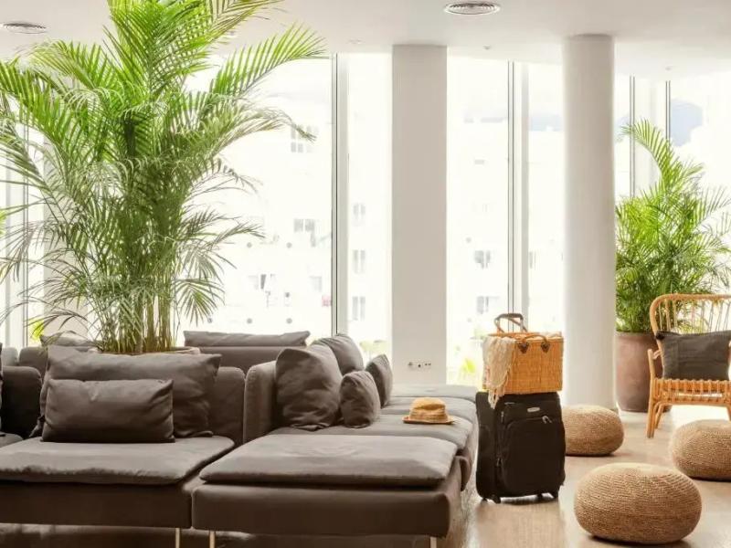 Sunwing Fanabe Beach