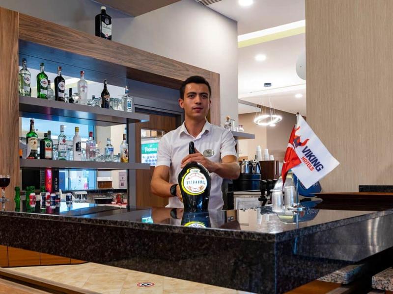 Viking Park Hotel & Spa