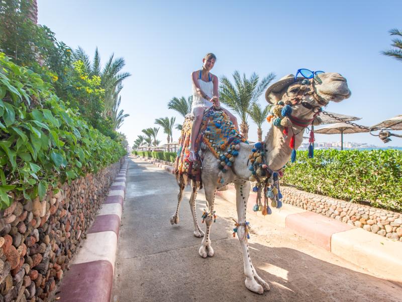 Sunny Days Resort, Spa & Aqua Park