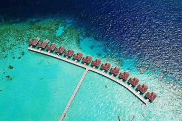 Отель Cocogiri Island Resort Мальдивы, Мале, фото 3