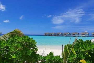 Отель Cocogiri Island Resort Мальдивы, Мале, фото 5