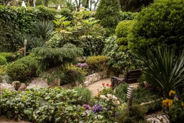 Отель Альмира Россия, Адлер, фото 14