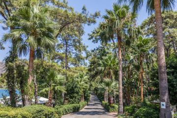 Отель Marmaris Bay Resort Турция, Мармарис, фото 16