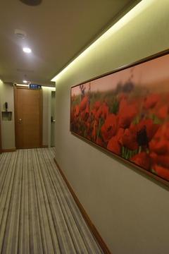Отель Four Seven Hotel Турция, Лалели, фото 10
