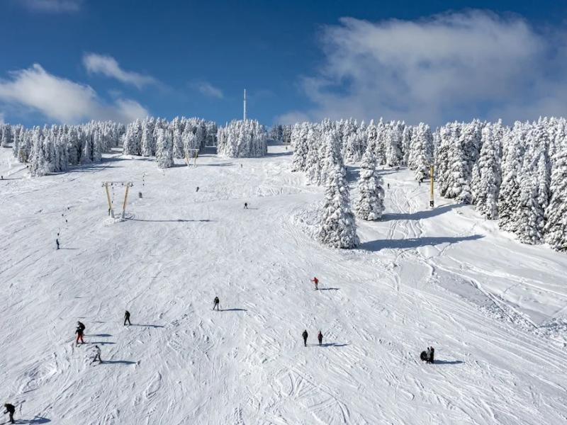 Erta Soyak Hotel Uludag