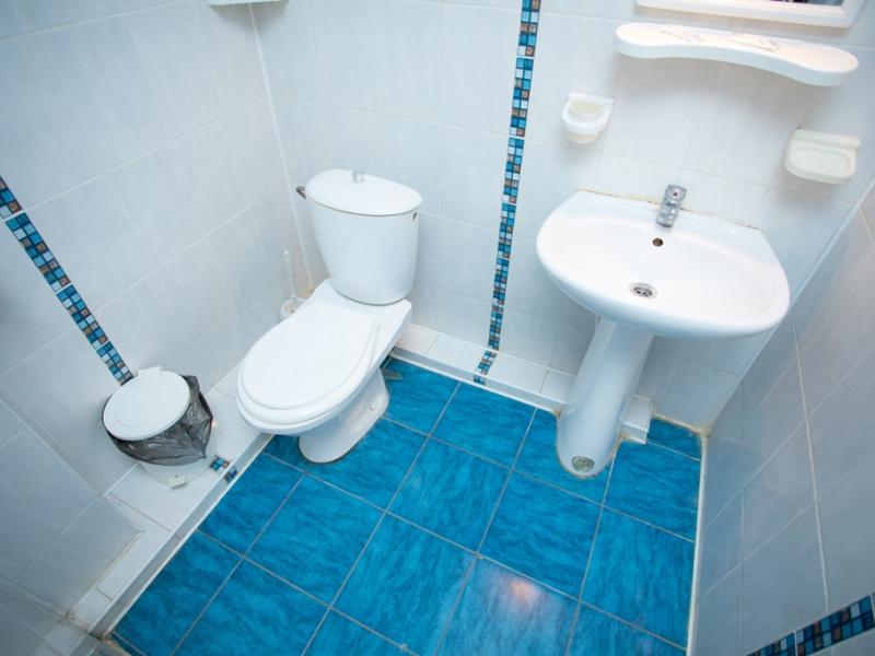 Ателика Мечта (1-й Корпус)