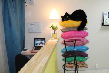 Отель Хостел Кот на Крыше Россия, Казань, фото 20