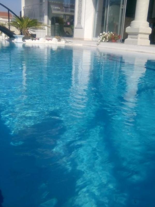 Dolunaydin