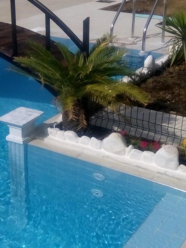 Dolunaydin