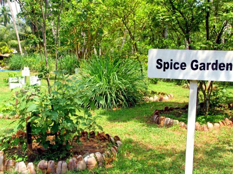 Oreeka Hotel Katunayaka Airport Transit Hotel