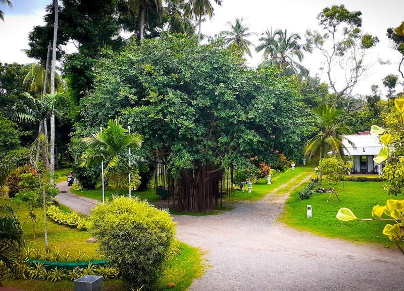 Oreeka Hotel Katunayaka Airport Transit Hotel