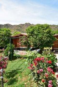 Отель Lemon Garden Lodge Турция, Кемер, фото 1