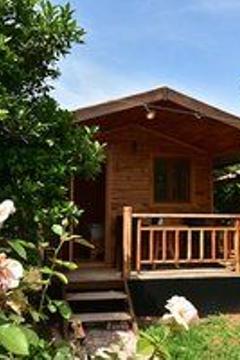 Отель Lemon Garden Lodge Турция, Кемер, фото 13