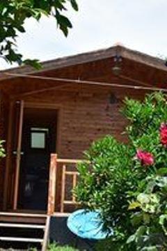 Отель Lemon Garden Lodge Турция, Кемер, фото 22