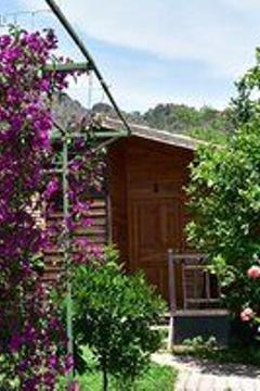 Отель Lemon Garden Lodge Турция, Кемер, фото 25