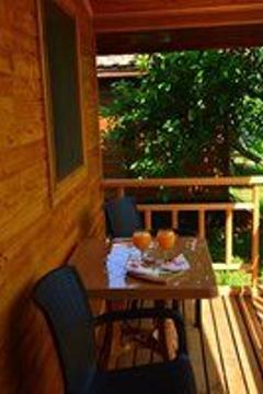 Отель Lemon Garden Lodge Турция, Кемер, фото 3