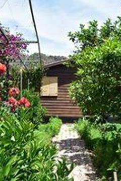 Отель Lemon Garden Lodge Турция, Кемер, фото 41