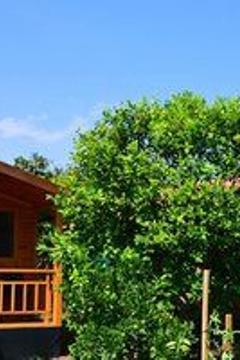 Отель Lemon Garden Lodge Турция, Кемер, фото 10