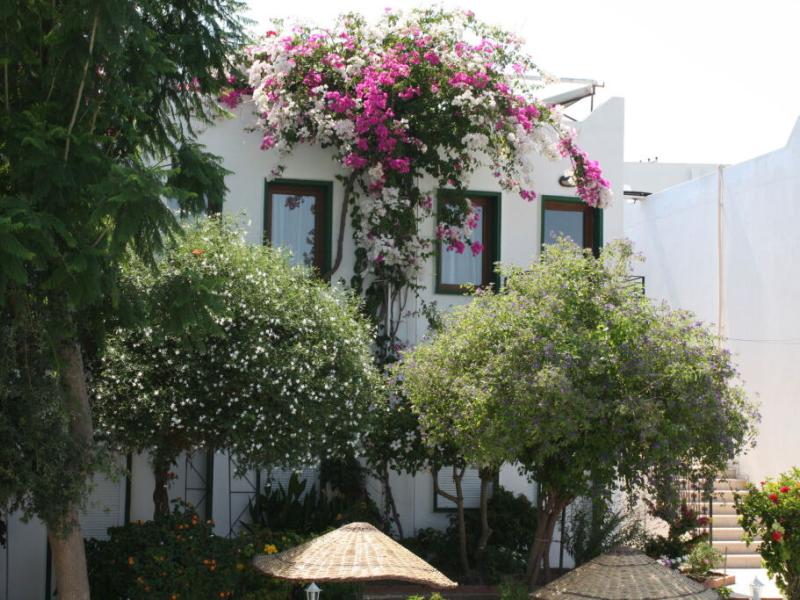 Bronze Hotel