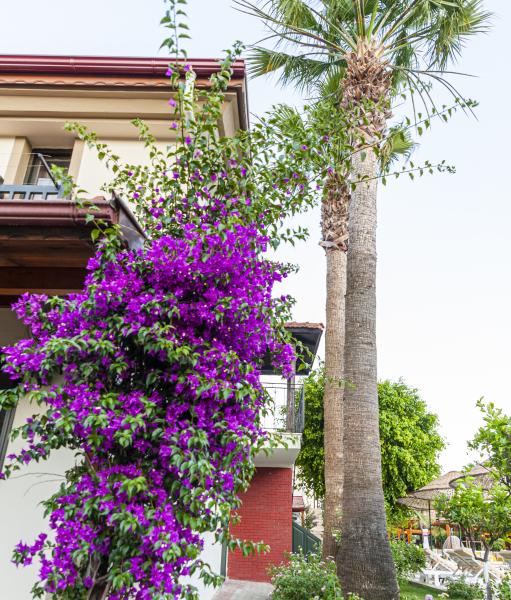 Portakal Hotel