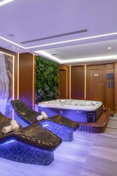 Отель Vital Hotel Fulya Турция, Шишли, фото 20