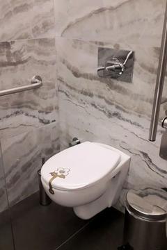 Отель Vital Hotel Fulya Турция, Шишли, фото 39