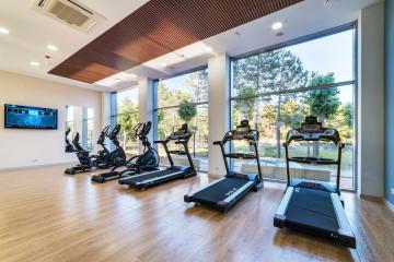 Отель Grand Sapphire Hotel Россия, Анапа, фото 35