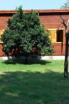 Отель Maji Village Турция, Кемер, фото 17