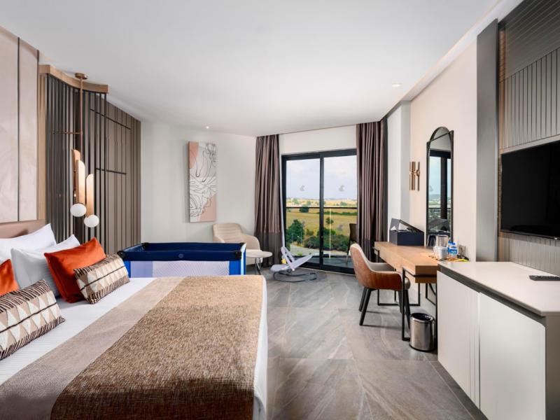 Calyptus Kirman Premium