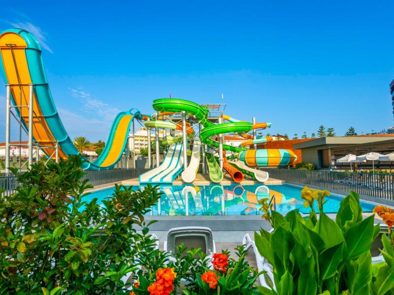 Calyptus Kirman Premium