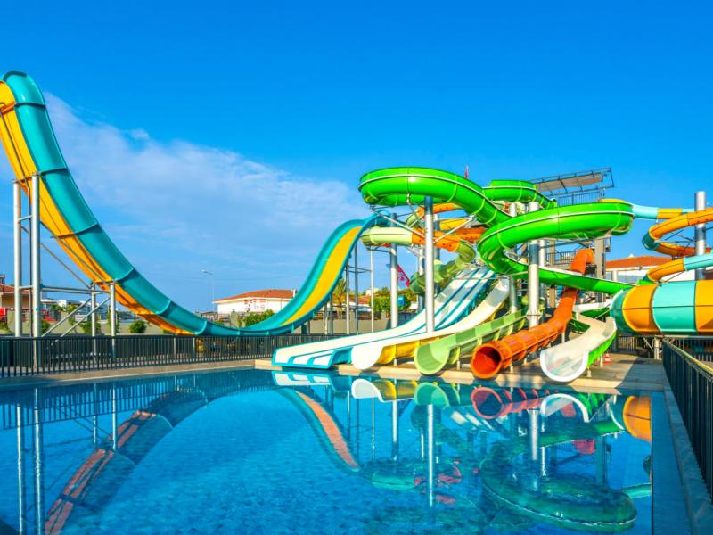 Calyptus Kirman Premium