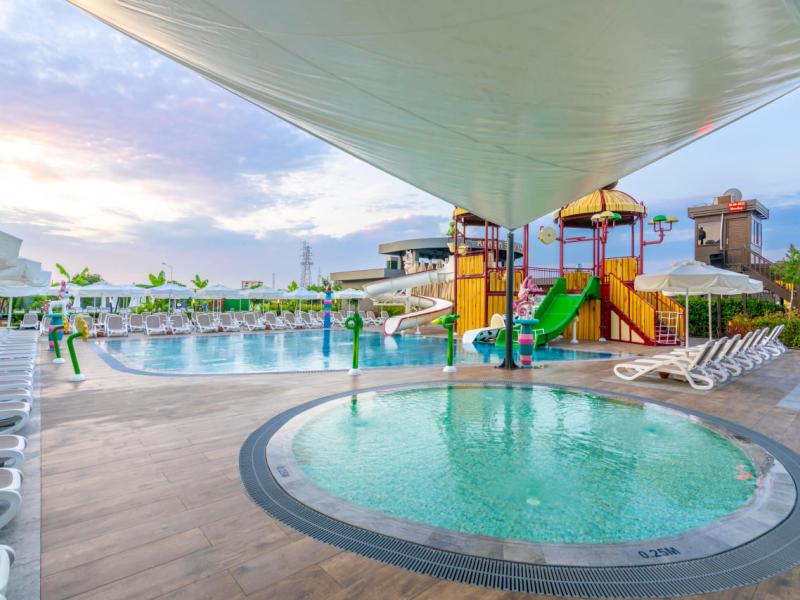 Calyptus Kirman Premium