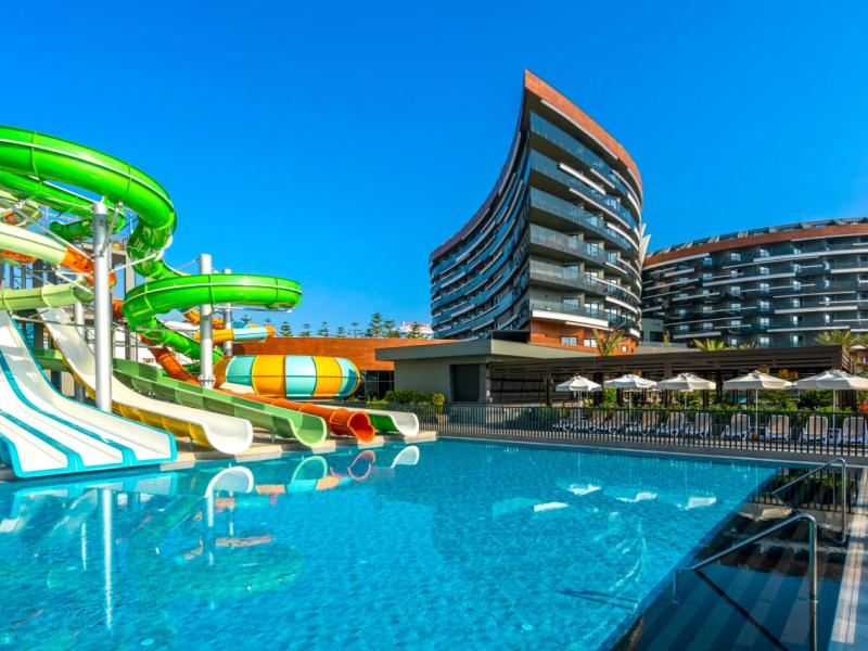 Calyptus Kirman Premium