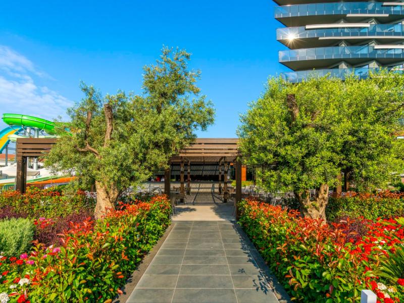 Calyptus Kirman Premium