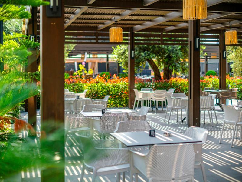 Calyptus Kirman Premium